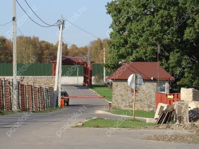 Фотография Подсолнухи