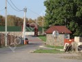Фотография Подсолнухи 1