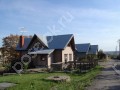 Фотография Подсолнухи 3