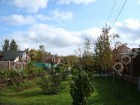 Фотография Новогорские березки