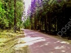 Фотография Елизарово-Park