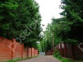 Фотография Топаз 8
