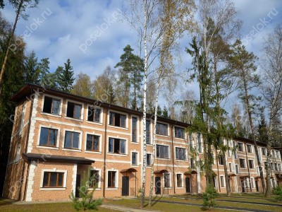 Фотография Елочка