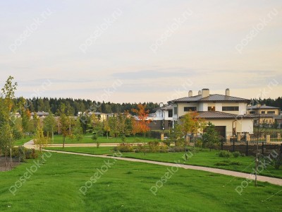 Фотография Графский лес