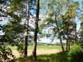 Фотография Веледниково Deluxe 2