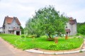 Фотография Лапино парк 2