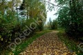 Фотография Берег Хонка 7