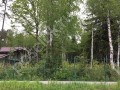 Фотография Ушаковские дачи 4