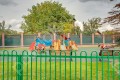 Фотография Росинка 6