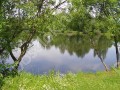 Фотография Лесное Озеро 7
