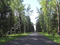 Фотография Лесное Озеро 8