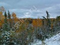 Фотография Лесное Озеро 10