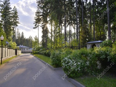 Фотография Полесье