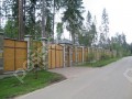 Фотография Корабельные сосны 4