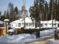 Фотография Корабельные сосны 6