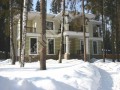 Фотография Корабельные сосны 7