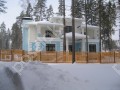 Фотография Корабельные сосны 9