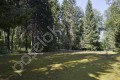 Фотография Дипломат 6
