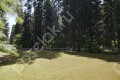 Фотография Дипломат 7