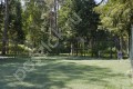 Фотография Дипломат 8