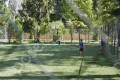 Фотография Дипломат 10
