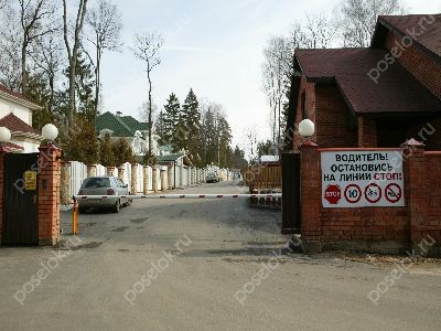 Фотография Лесной простор-1