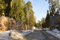 Фотография Никологорский (Коттон Вей) 2