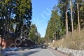 Фотография Никологорский (Коттон Вей) 6