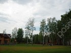 Фотография Раздолье