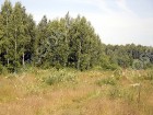 Фотография Волжские просторы