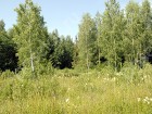 Фотография Волжские просторы