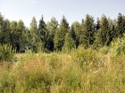 Фотография Волжские просторы